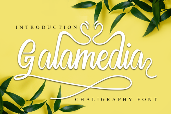 Galamedia: A Handwritten Font for Elegant Web Design