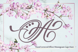 Hand Lettered Effect Monogram: A Font for Elegant Web Design